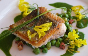 11th-Salmon-Lunch-019-2000px